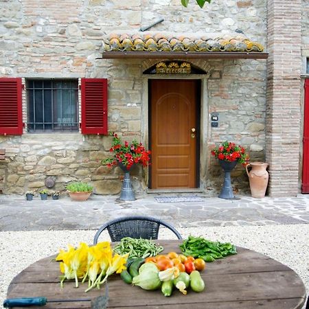 Gricignano Casa Donella B&B المظهر الخارجي الصورة